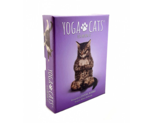 Карты Таро: Yoga Cats Deck & Book Set