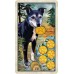 Карты Таро: Wise Dog Tarot