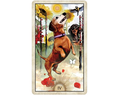 Карты Таро: Wise Dog Tarot