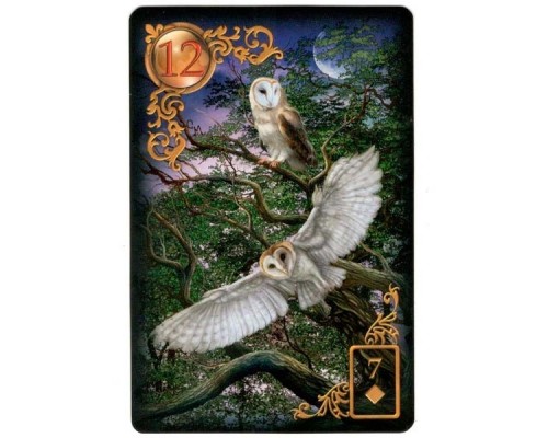 Карты Таро: Gilded Reverie Lenormand Expanded