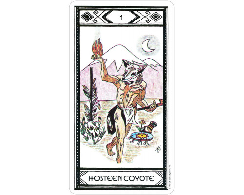 Карты Таро: Native American Tarot Deck