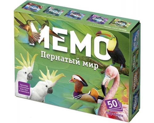 Мемо Пернатый мир