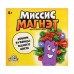 Настольная игра «Миссис Магнэт»