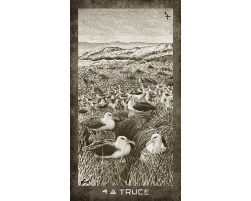 Карты Таро: New Era Elements Tarot