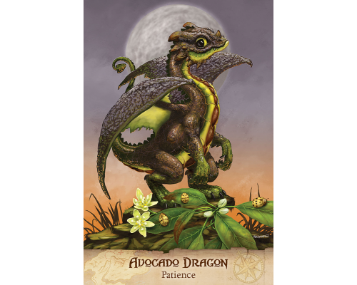 Карты Таро Field Guide to Garden Dragons