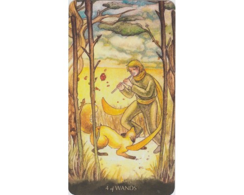 Карты Таро: Little Prince Tarot