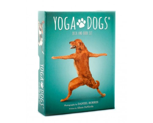 Карты Таро: Yoga Dogs Deck & Book Set