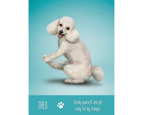 Карты Таро: Yoga Dogs Deck & Book Set