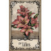 Карты Таро: Under the Roses Lenormand